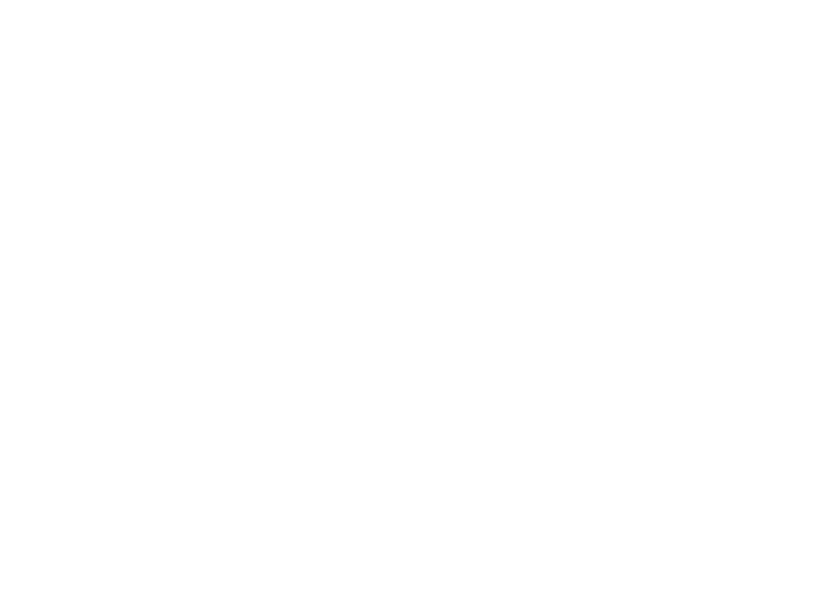 fs8