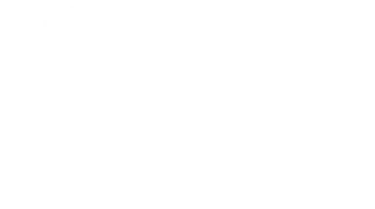 optyka-perfect