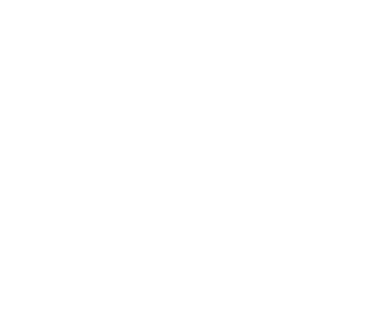 thai-wok