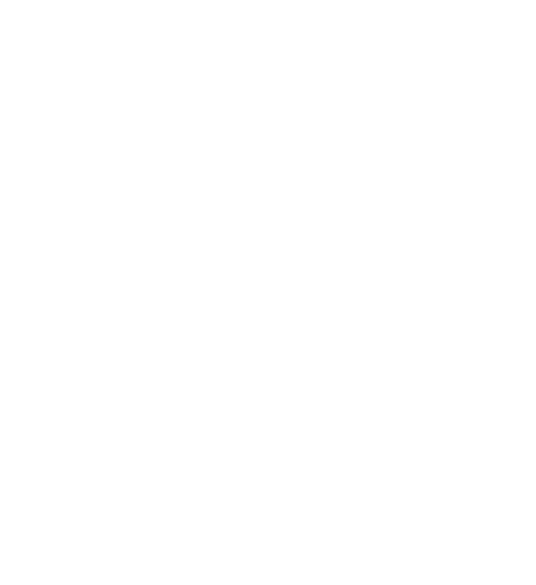 zacny-pyrkot